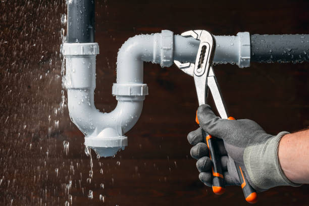 Professional Garbage Disposal Repair technician working in Clear Lake, WI